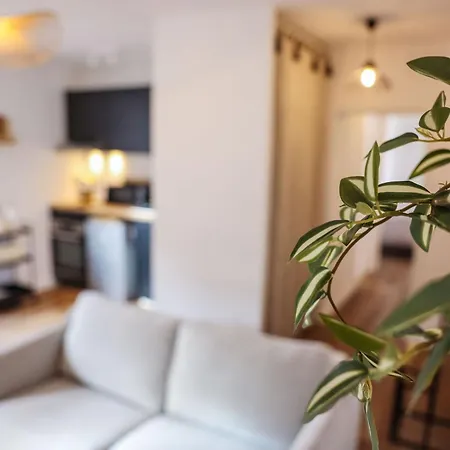 N3 La Jungle De Montaudry - Terrasse - Parking Appartement Albi Buitenkant foto